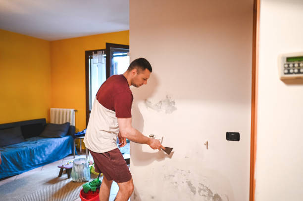 Professional Mold Remediation in La Porte City, IA